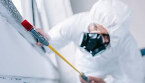 Professional Pest Control in Bonnetsville, NC